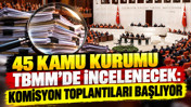 45 kamu kurumu TBMM’de incelenecek: Komisyon toplantıları başlıyor