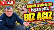 Emekli zeytin işçisi isyan etti: Biz açız