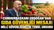 Cumhurbaşkanı Erdoğan'dan gıda güvenliği mesajı: Milli güvenliğimizin temel unsuru