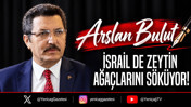 İsrail de zeytin ağa&ccedil;larını s&ouml;k&uuml;yor