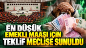 En düşük emekli maaşının asgari ücrete eşitlenmesi için TBMM'ye teklif sunuldu