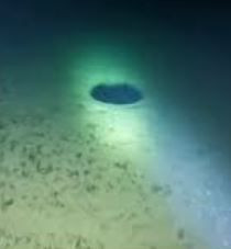 Okyanusun derinliklerinden gelen çığlığın gizemi çözüldü... Ses tüm dünyayı yanıltmış - Resim: 9