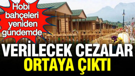 Hobi bahçeleri yeniden Meclis gündeminde: Verilecek cezalar ortaya çıktı