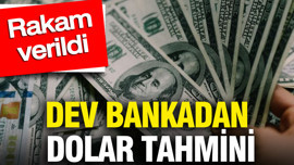 Dev bankadan çok konuşulacak dolar tahmini