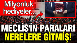 TBMM'nin 2025 yılı hediye harcaması 34,8 milyon TL olarak açıklandı