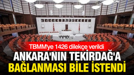 TBMM'ye 1426 dilekçe verildi: Ankara'nın Tekirdağ'a bağlanması bile istendi