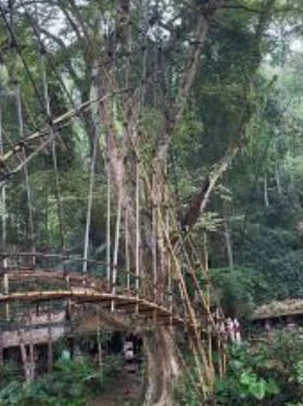 Bu devirde bu kabilede her şey yasak… Dünyadan izole yaşıyorlar - Resim: 4