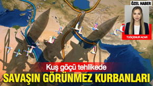 Savaşın görünmez kurbanları: Kuş göçü tehlikede