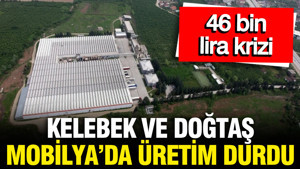 Kelebek Mobilya ve Doğtaş Mobilya'da üretim durdu: 46 bin lira krizi