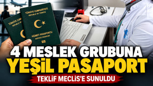 4 meslek grubuna yeşil pasaport: Teklif Meclis'e sunuldu