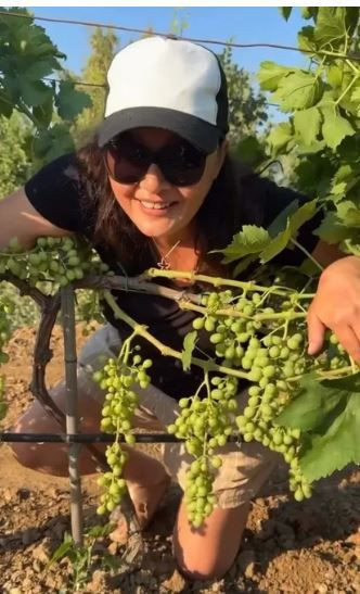 Nurgül Yeşilçay’dan avokado trendine patlıcanlı kabaklı gönderme - Resim: 6