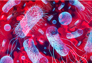 "Sıvı tiramisu" olarak bilinen yumurtalı kahvede salmonella riski - Resim: 8