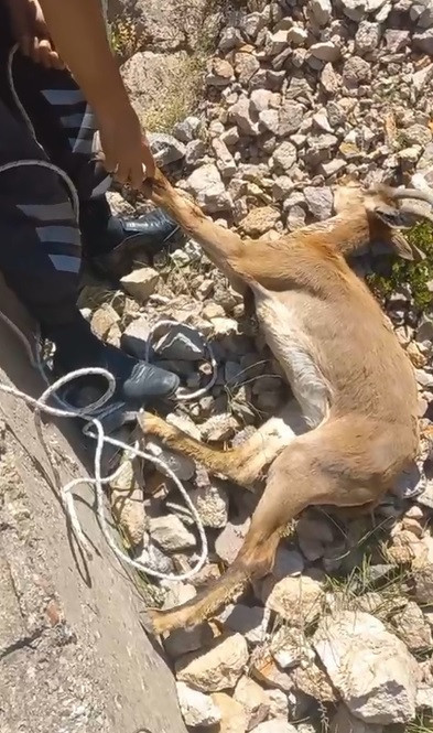 Kılıçkaya Barajı’nda heyecanlı dakikalar - Resim : 3
