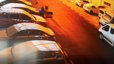 Ankara'da dehşet anları: Sokak köpekleri etrafını kapattı: Hayatı alt üst oldu