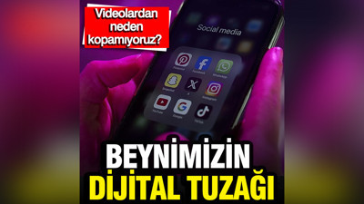 Beynimizin dijital tuzağı: Seçim mekanizmasını kilitliyor