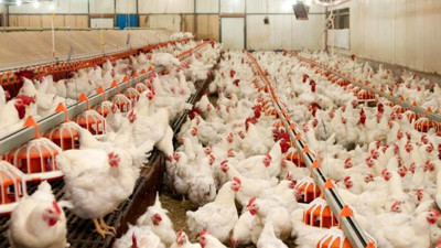 Tarım sektörü yurt dışına çıkmaya hazırlanıyor: Karar alanlar var…