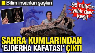 Sahra kumlarından ‘Ejderha Kafatası’ çıktı: 95 milyon yıllık dev keşif… Bilim insanları şaşkın