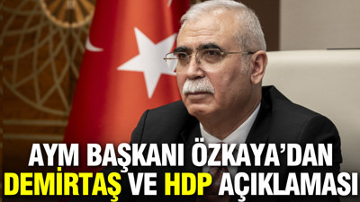 Anayasa Mahkemesi Başkanı Özkaya'dan 'Demirtaş' ve 'HDP' açıklaması