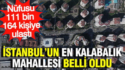 İstanbul'un en kalabalık mahallesi belli oldu