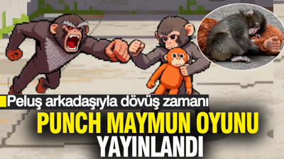 Punch maymun oyunu yayınlandı: Peluş arkadaşıyla dövüş zamanı