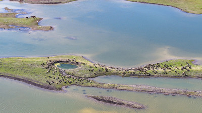 Devegeçidi barajı’nda sevindiren manzara: Kuraklık bitti, su seviyesi zirve yaptı