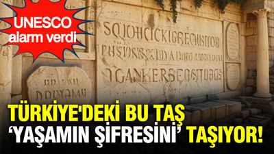 Dünyada tek: UNESCO Türkiye’deki bu taş için acil toplandı: Yaşamın sırrını taşa kazımışlar