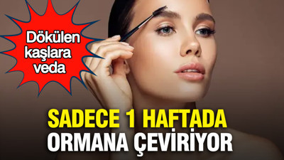 Dökülen kaşlara veda: Sadece 1 haftada seyrek yerleri ormana çeviriyor