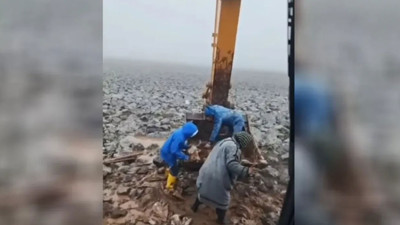 Çamura saplanan inek kepçe yardımıyla kurtarıldı