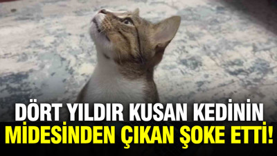 Dört yıldır kusan kedinin midesinden buzdolabı vakumu çıktı