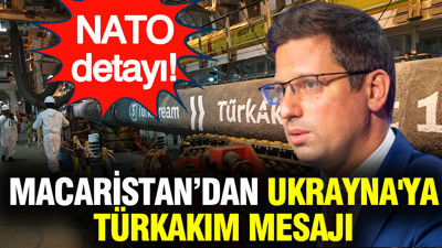 Macaristan’dan Ukrayna'ya mesaj: TürkAkım ve NATO vurgusu