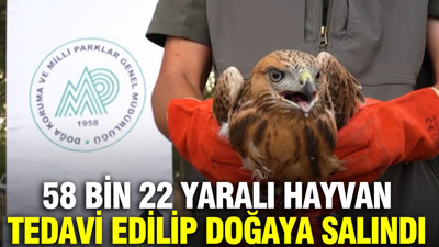 58 bin 22 yaralı hayvan tedavi edilip doğaya salındı