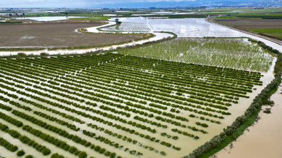 Tarsus’ta sağanak felaketi: Tarlalar sular altında