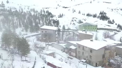 Van, Hakkari, Bitlis'te 103 yol kapandı: Kar ve tipi ulaşımı felç etti