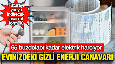 Evinizdeki gizli enerji canavarı: 65 buzdolabı kadar elektrik harcıyor: Faturanızı yarıya indirecek tasarruf formülü