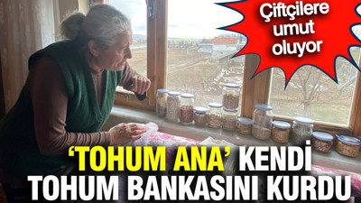 Yozgatlı "Tohum Ana" 20 yılda 500’ten fazla ata tohumuyla kendi tohum bankasını kurdu