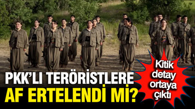 Çözüm sürecinde PKK'lılara af ertelendi mi? AK Partili kurmaylardan '3. aşama' çıkışı