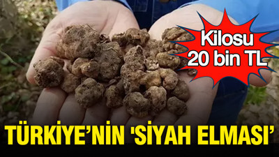 Türkiye’nin 'siyah elması’: Kilosu 20 bin TL