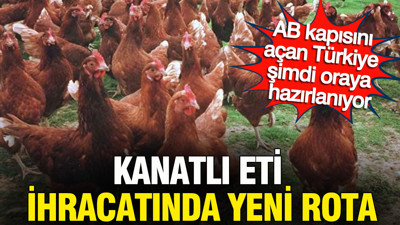 Kanatlı eti ihracatında yeni rota: AB kapısını açan Türkiye şimdi oraya hazırlanıyor