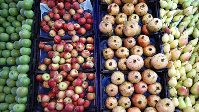 Türkiye, en fazla yaş meyveyi o ülkeye gönderdi