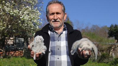 20 yıldır kapısını tek bir misafir için açıyor: "Uğursuz" diyenlere inat o isimleri koydu