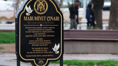 Okul saldırısında hayatını kaybedenler anısına "masumiyet çınarı" dikildi