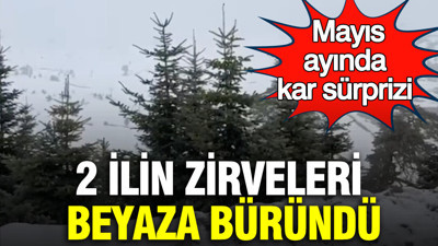 Mayıs ayında kar sürprizi: 2 ilin zirveleri beyaza büründü