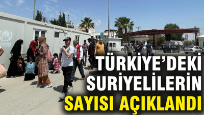 İçişleri Bakanlığı Suriyelilerin sayısını açıkladı