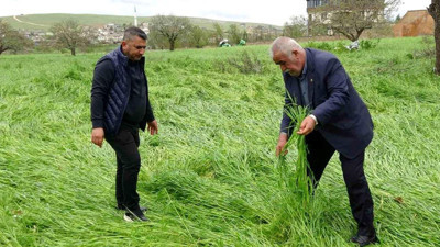 Hububatı ‘süper hücre’ vurdu: Binlerce arazi zarar gördü