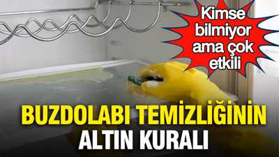 Kimse bilmiyor ama çok etkili: Buzdolabı temizliğinin altın kuralı