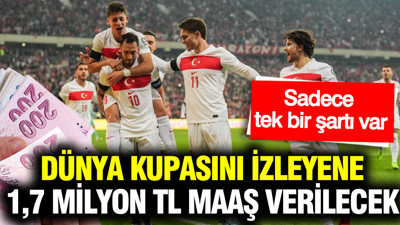 Dünya Kupası'nı izleyene 1,7 milyon TL maaş verilecek: Dünyanın en çılgın işi için alımlar başladı