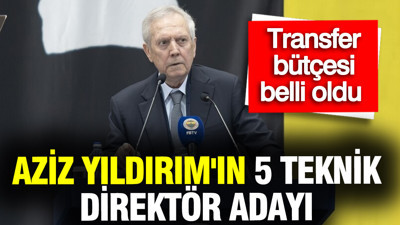 Aziz Yıldırım'ın 5 teknik direktör adayı ve transfer bütçesi