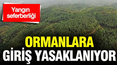Muğla'da bazı ormanlara giriş yasaklanacak