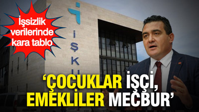 İŞKUR verilerinde çarpıcı tablo: "Çocuklar işçi, emekliler mecbur”