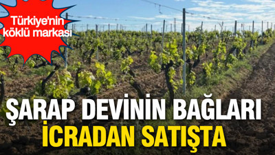 Türkiye’nin köklü şarap markasının bağları icradan satışa çıkarılıyor